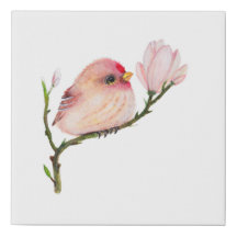 Bébé mignon Redpoll Baby shower d'oiseaux