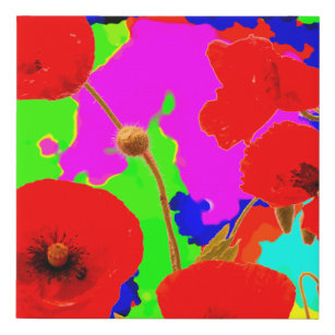 Imitation Canevas Fleurs de pavot Art brillant et coloré Floral Abst