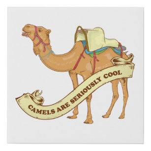 Imitation Canevas J'aime les chameaux