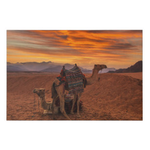 Imitation Canevas Les déserts   Bactrial Camel Egypte dune de sable