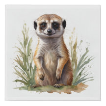 Meerkat bébé mignon, aquarelle sur