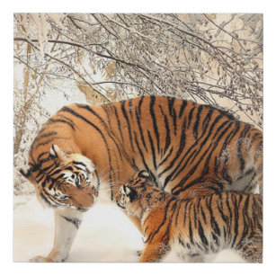 Imitation Canevas Mignonne mère tigre avec un bébé en neige