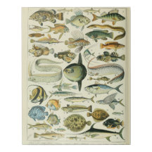 Motif de poisson Adolphe Millot-A
