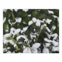 Neige sur Vert Feuilles Faux Toile Enveloppée Peti