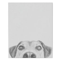 Oscar le chien
