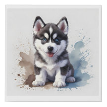 Petit chiot sibérien Husky, aquarelle sur