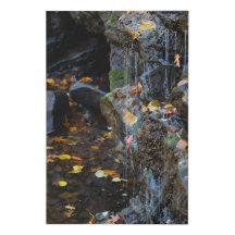 Petite Cascade Au-Dessus Des Rochers