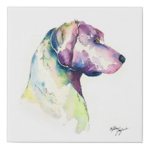 Profil Pooch