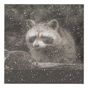 Imitation Canevas Raccoon En Hiver Neige Faux Toile Imprimer