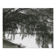 Saule pleurant sur l'eau