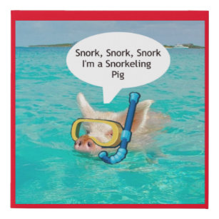 Imitation Canevas Swimming Pig snorkeling dans l'étang