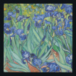 Imitation Canevas Vincent Van Gogh - Irises 1889<br><div class="desc">Vincent Van Gogh - Irises 1889</div>