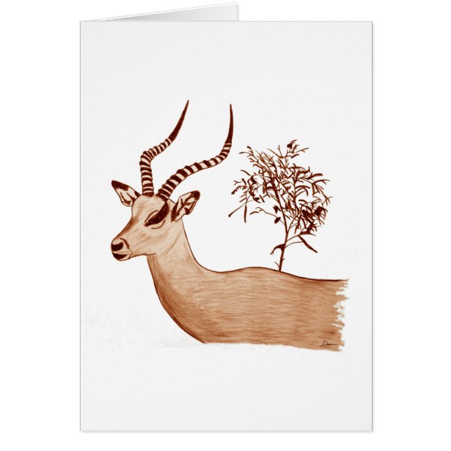 Impala Antelope Dessin animalier Sketch (Devant)