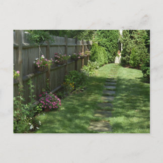 Impatiens Chemin Fleurs estivales Cartes postales