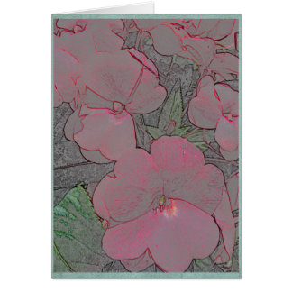 Impatiens roses dans un jardin d'été