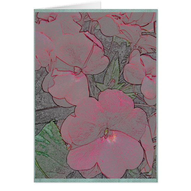 Impatiens roses dans un jardin d'été (Devant)