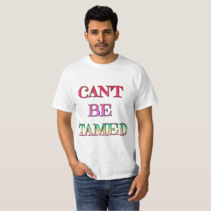 Impossible d'attribuer une valeur au T-shirt