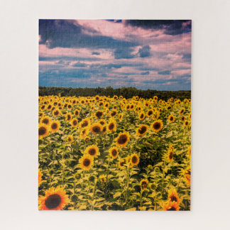 Impossible Puzzle - Champ de tournesol