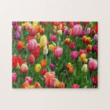 Impossible Puzzle - Tulipes