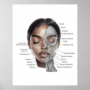 Impression 3 de visage d'anatomie