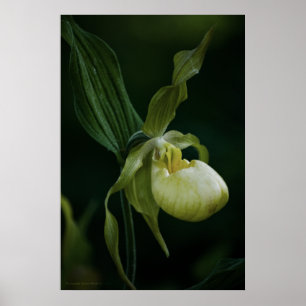 Impression à nappes jaunes