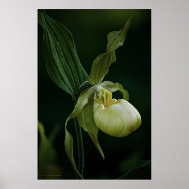 Impression à nappes jaunes (Devant)