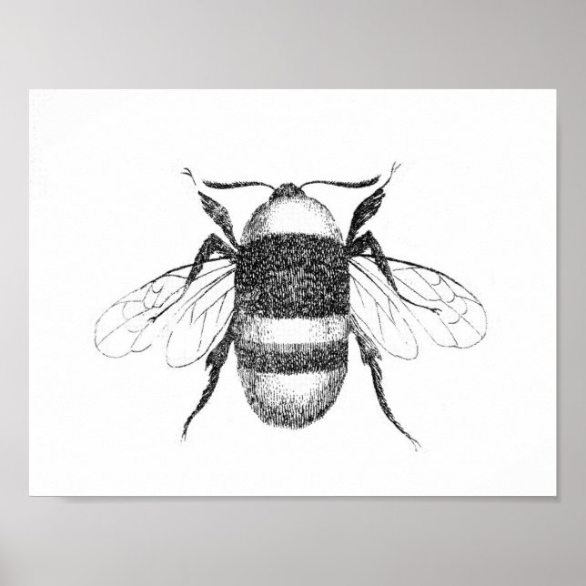 Impression abeille vintage (Devant)