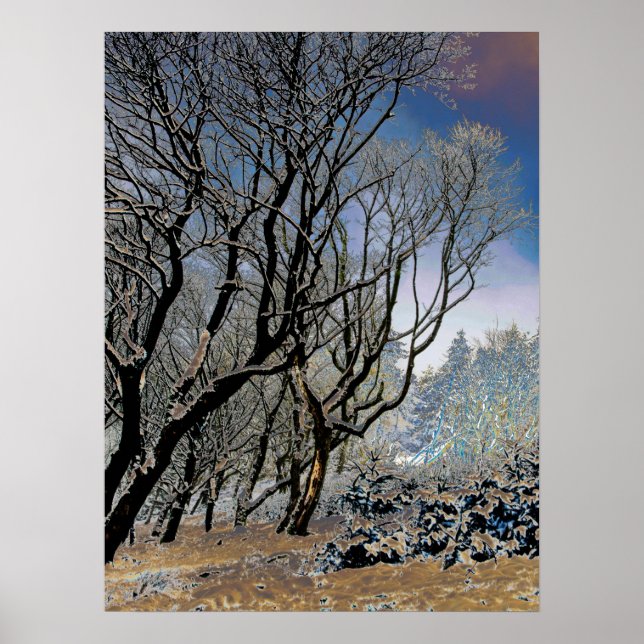 Impression acrylique de la carte hivernale de la f (Devant)
