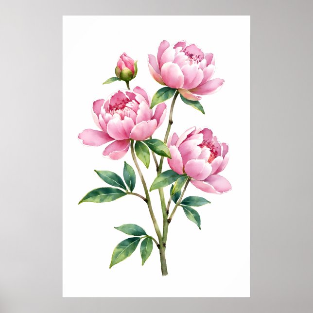 Impression aquarelle de pivoine rose botanique (Devant)