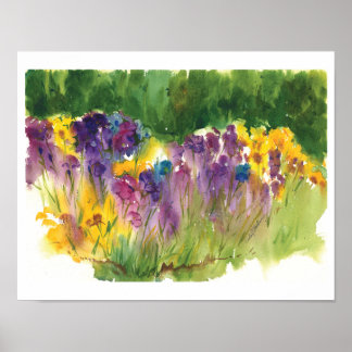Impression aquarelle du jardin d'Iris - 11 x14