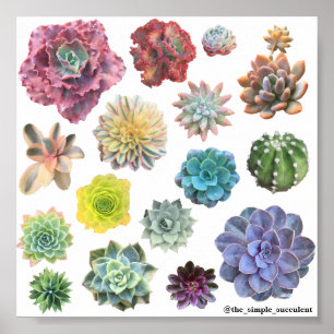 Impression arc-en-ciel