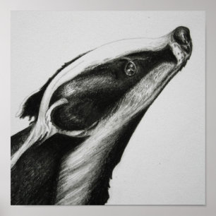 Impression Badger