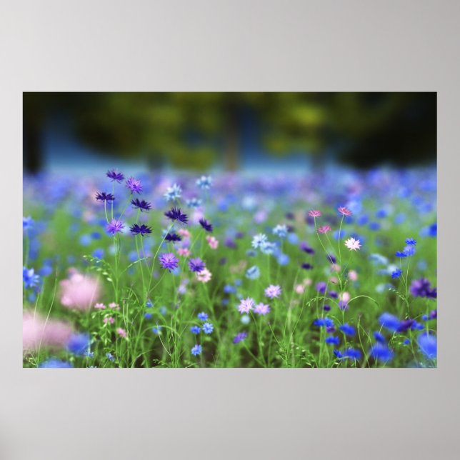 Impression Bleu Barbeau (Devant)