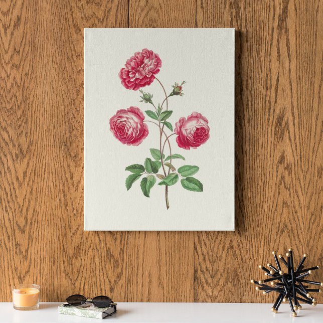 Impression botanique à l'aquarelle antique (Antique Watercolor Botanical Print)