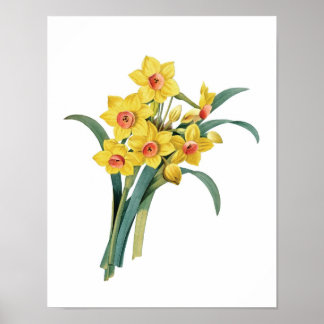Impression botanique de DAFFODILS original par Red
