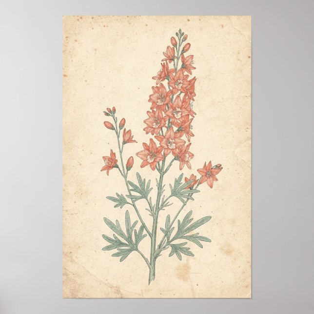 Impression botanique de Delphinium | Étude de fleu (Devant)