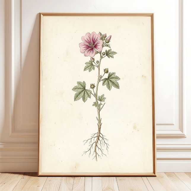 Impression botanique de galerie murale Vintage Mal (Créateur téléchargé)