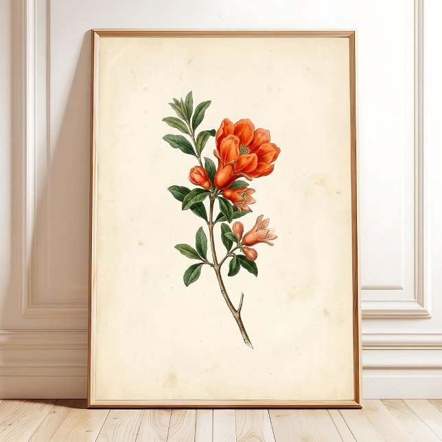 Impression botanique de grenade vintage sur toile (Créateur téléchargé)