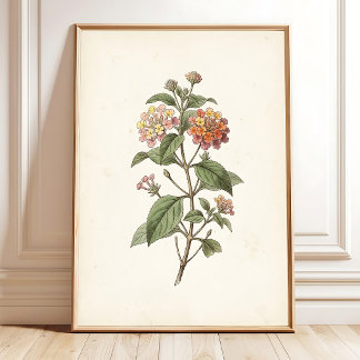 Impression botanique de Lantana Cottagecore