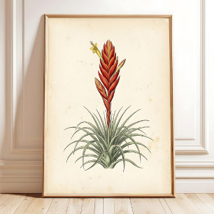 Impression botanique de Vriesea sur toile