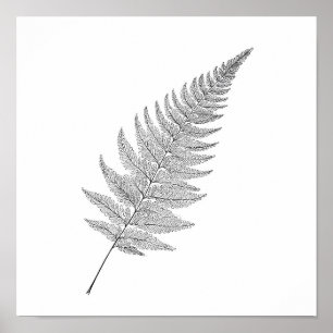 Impression botanique minimaliste : Fougère fractal