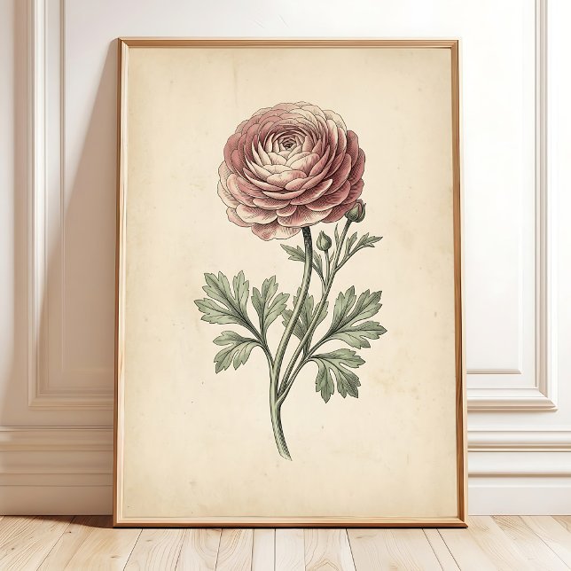 Impression botanique sur toile de Ranunculus (Créateur téléchargé)