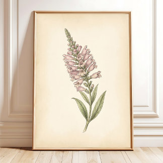 Impression botanique Tabebuia Cottage Art Print