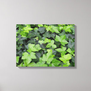 Impression botanique verte Ivy
