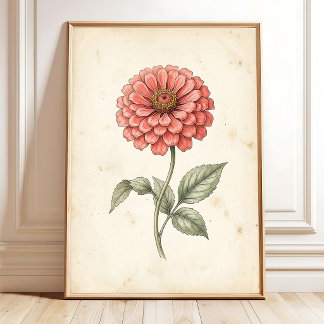 Impression botanique vintage d'art floral de Zinni