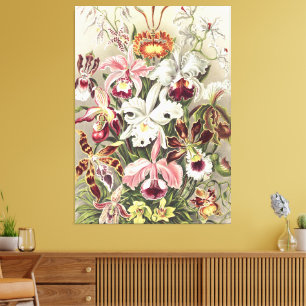 Impression botanique vintage d'orchidée par Ernst 