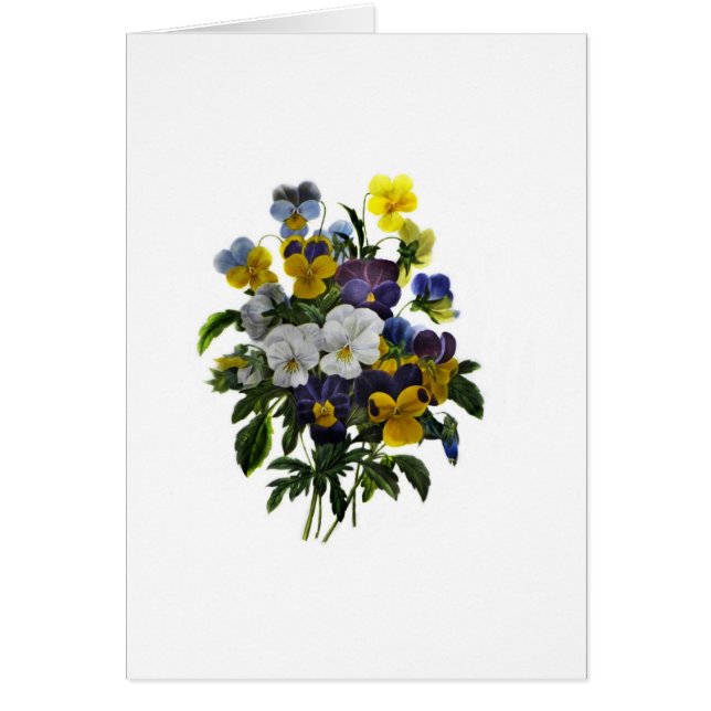 Impression botanique vintage Pansy (Devant)
