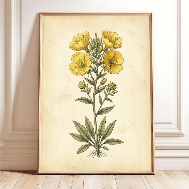 Impression botanique vintage sur papier (Créateur téléchargé)