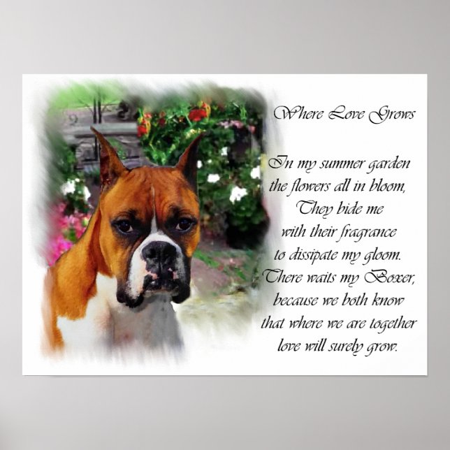 Impression Boxer Dog Art (Devant)