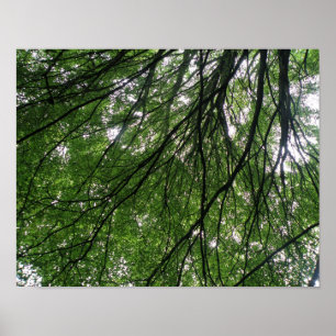 Impression Branches et Feuilles
